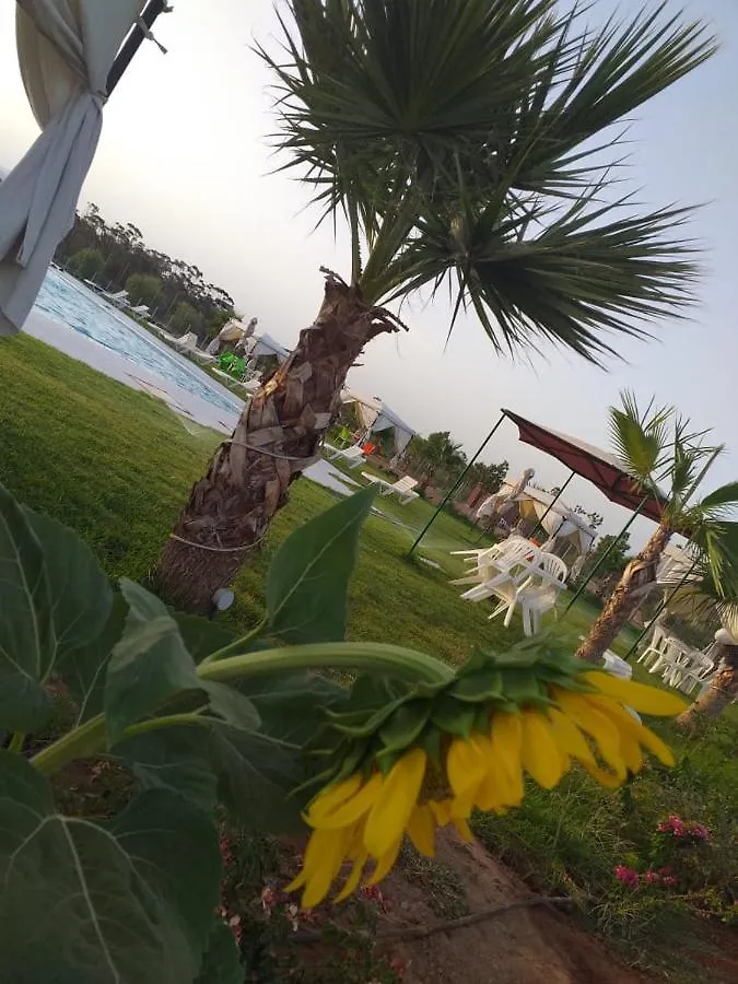 Appartement neuf avec piscine et jardin BIO, excursions QUADS Marrakesh Maroc